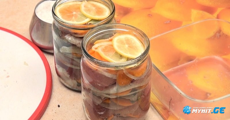 ქილებში დამარილებული ქაშაყი ჰოლანდიურად – არა მარტო თევზის მოყვარულებისთვის