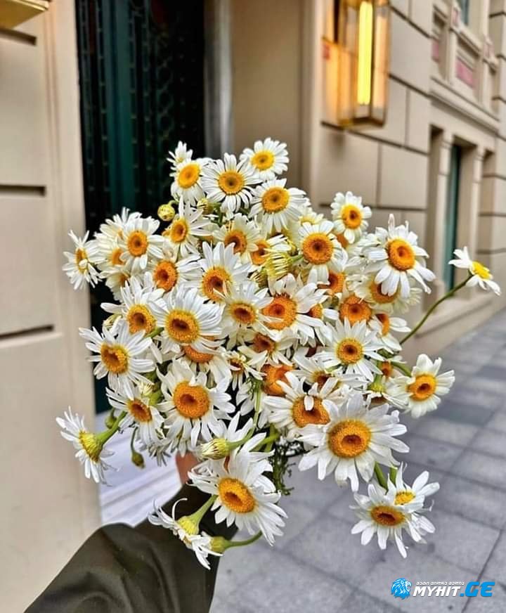 დღეს გაზაფხულის კვირტებივით იყუჩებს Დარდი