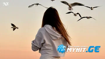 Davit tkeshelashvili - mifirnaven weroebi / დავით ტყეშელაშვილი - მიფრინავენ წეროები