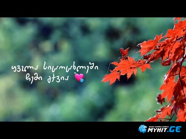 giorgi gersamia - yvela sicocxleshi chemi gqvia