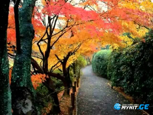 tbilisi - Shemodgoma dadga