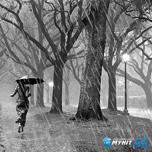 Soso mazmaniani - wvims