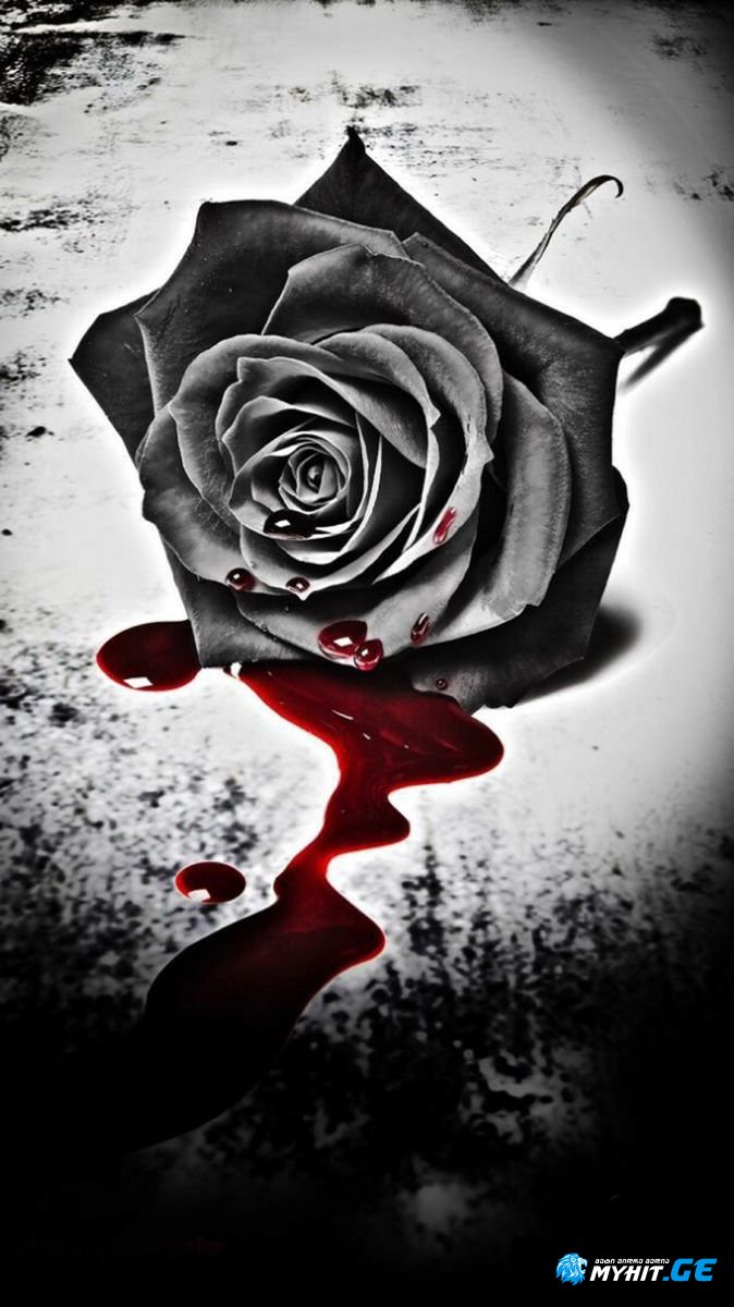 Murat Göğebakan & Heijan - Vurgunum